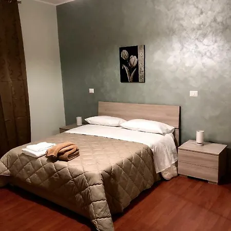 Alpheus 锡拉库扎